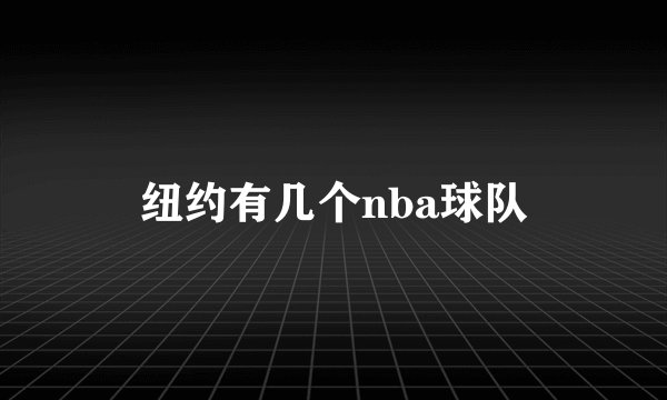 纽约有几个nba球队