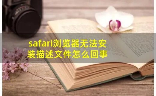 safari浏览器无法安装描述文件怎么回事