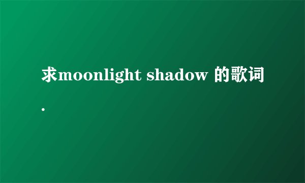 求moonlight shadow 的歌词.