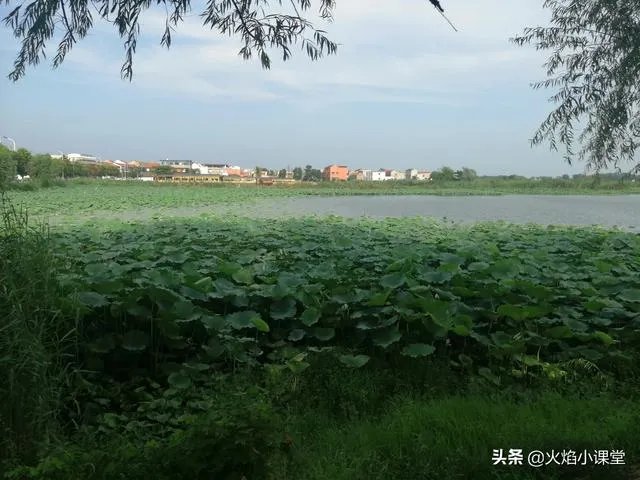 八段锦是否可以自学？