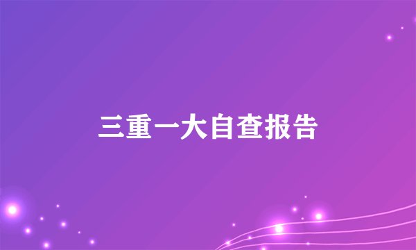 三重一大自查报告