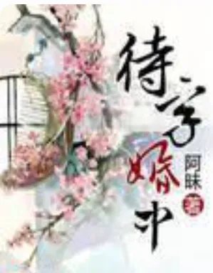 《待字婚中》最新章节全文阅读免费下载百度网盘资源，谁有？