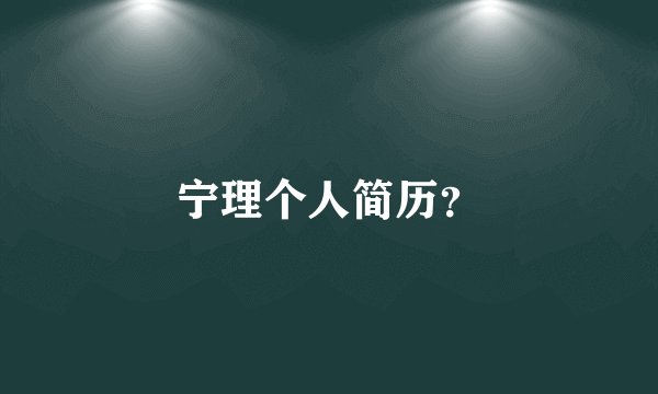 宁理个人简历？