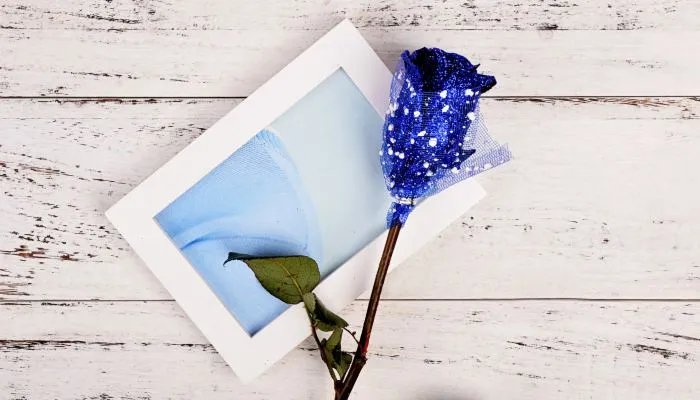 2022年6月5日是第几个世界环境日 2022年世界环境日是第几个