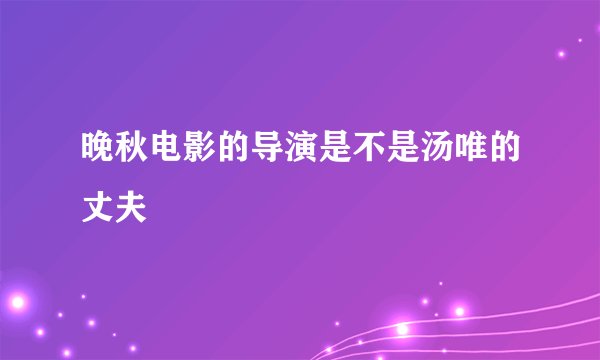 晚秋电影的导演是不是汤唯的丈夫