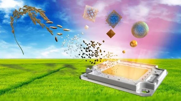 庄稼也能做屏幕：日本科学家首次用废弃稻壳开发出量子点LED灯