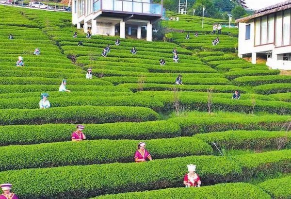 独山县400亿烂尾楼始末