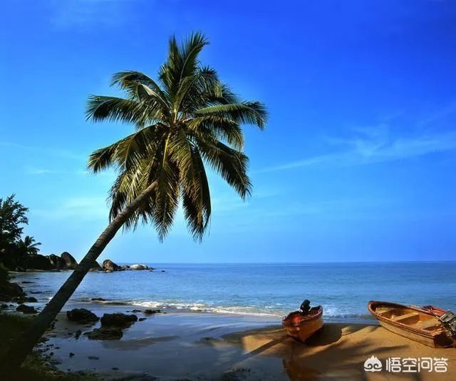 陵水高档小区租房