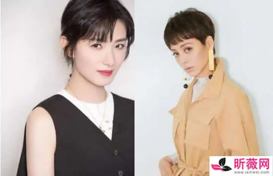 万茜为什么被称为皇族 万茜为什么突然那么火