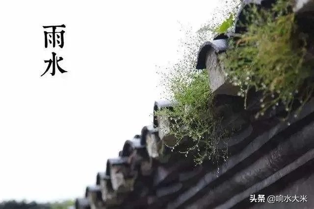 雨水落雨三大碗 大河小河都要满 说的是哪个季节