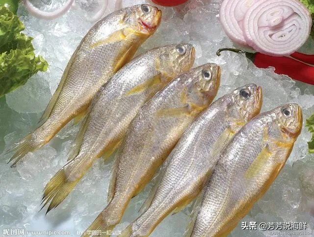 武汉北京新发地大连疫情均与海鲜有关是否说明海鲜就是新冠发源地？