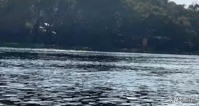 现在厦门哪里的地摊最有名最热闹？