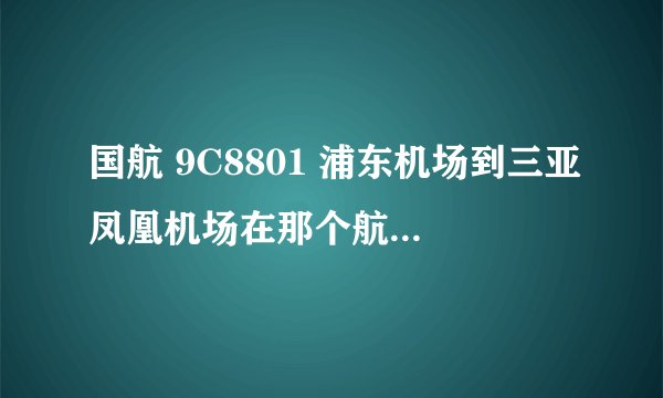 国航 9C8801 浦东机场到三亚凤凰机场在那个航站楼啊，，