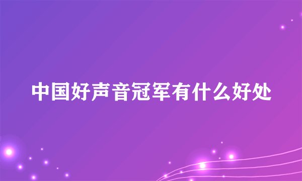 中国好声音冠军有什么好处