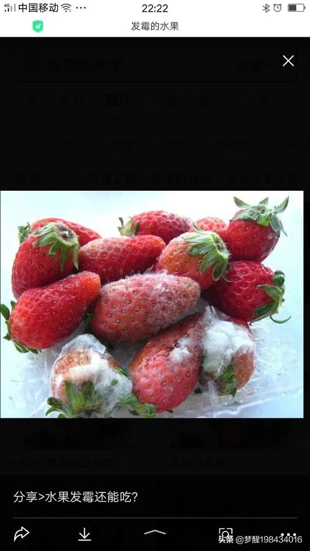 杭州网红甘茶度被爆黑幕：发臭水果榨汁，店员直呼“良心过不去”, 你怎么看？