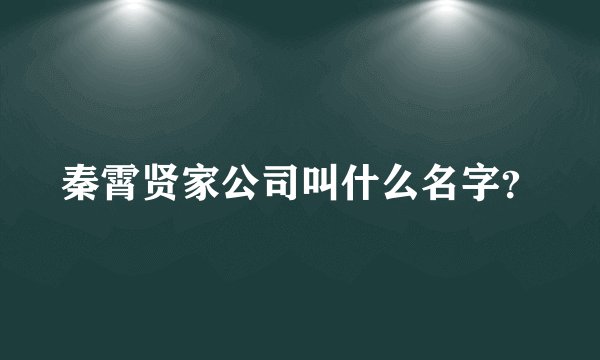秦霄贤家公司叫什么名字？