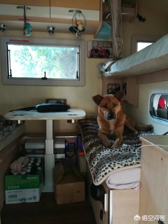 房车自驾游会不会取代旅行社？