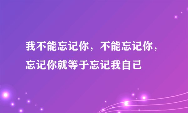 我不能忘记你，不能忘记你，忘记你就等于忘记我自己