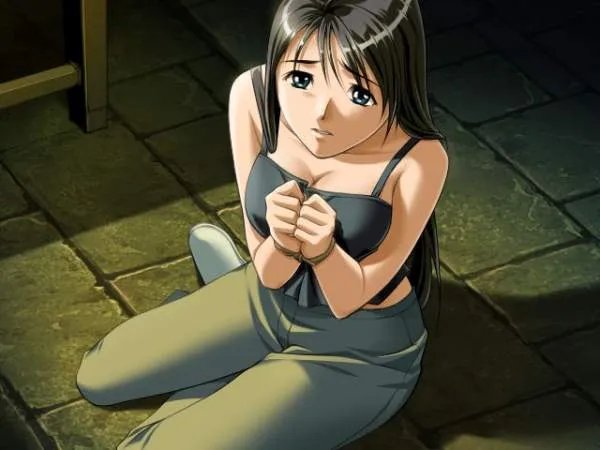 河源崎家的一族2的介绍