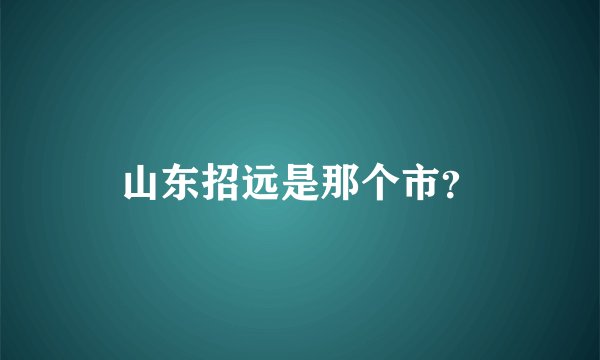 山东招远是那个市？