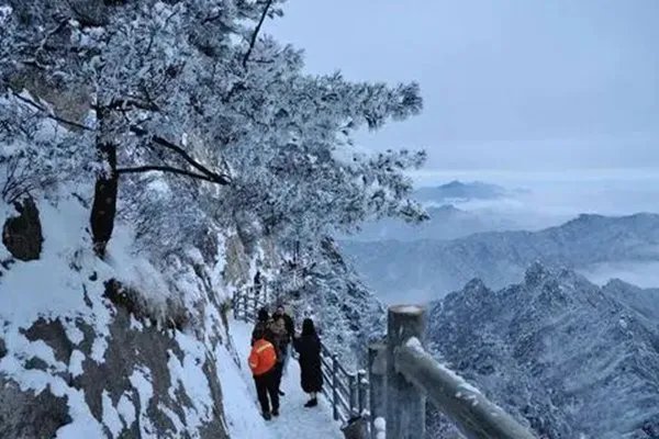 河南十月飘起鹅毛大雪，为何东北还没下雪河南先下了？