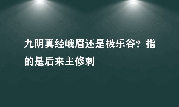 九阴真经峨眉还是极乐谷？指的是后来主修刺