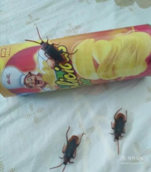 愚人节怎么捉弄人