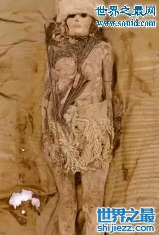 江苏泰州明代不腐女尸，经千年鲜如活人(慎入) 