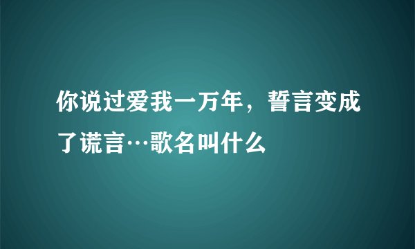 你说过爱我一万年，誓言变成了谎言…歌名叫什么