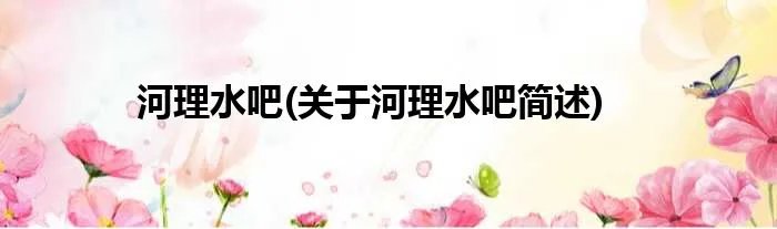 河理水吧(关于河理水吧简述)