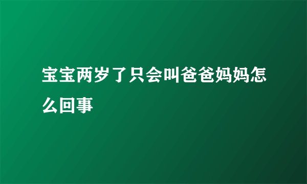 宝宝两岁了只会叫爸爸妈妈怎么回事