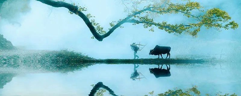 既是节日又是节气的是什么节 既是节日又是节气的有哪些节日