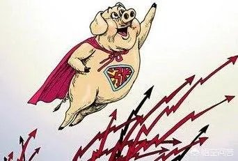 现在养猪行情如何?