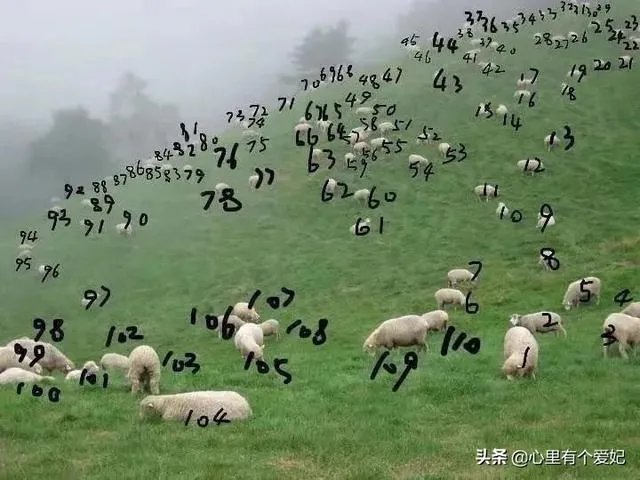 开个烧纸厂怎么样？