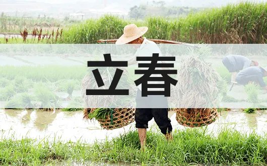 2022年立春是几九第几天