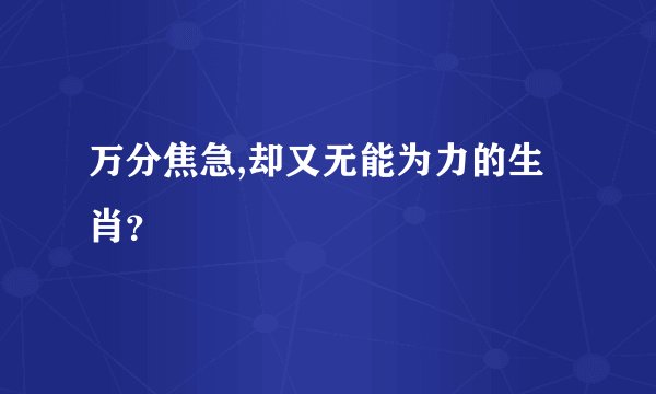 万分焦急,却又无能为力的生肖？