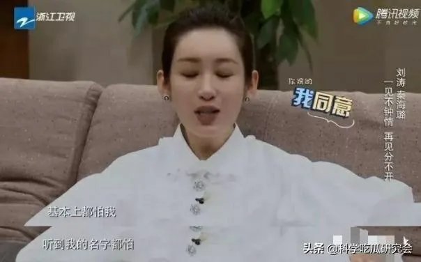 秦海璐称与黄晓明感情好才会回怼他,你怎么看?他们感情好的例子有哪些?