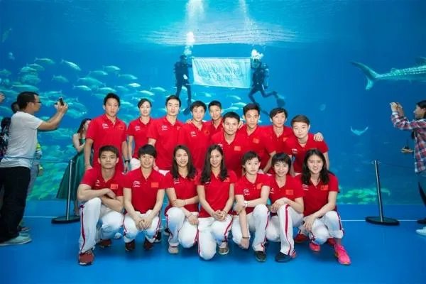 2016年中国跳水队一共拿了多少枚奥运金牌