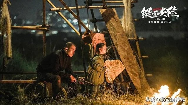 如何评价新电影《铤而走险》？