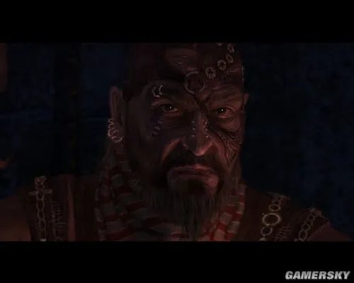 《巫师加强版》图文介绍与心得