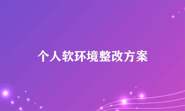 个人软环境整改方案