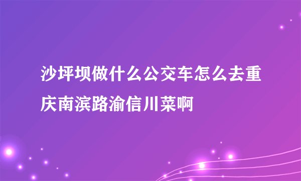 沙坪坝做什么公交车怎么去重庆南滨路渝信川菜啊
