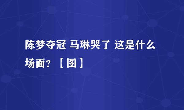 陈梦夺冠 马琳哭了 这是什么场面？【图】