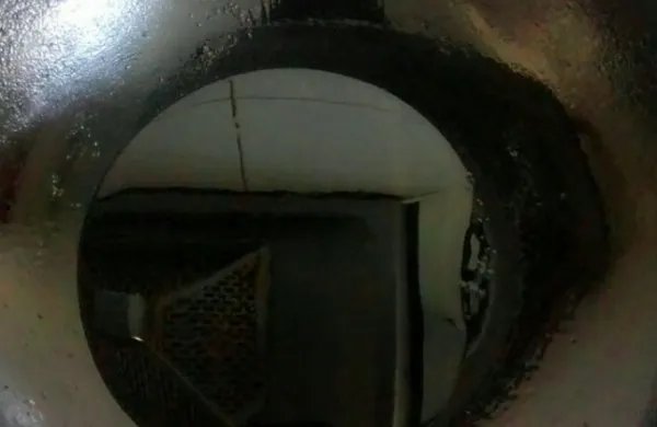 草鱼炖豆腐怎么做好吃