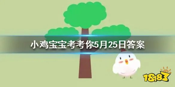 小鸡宝宝考考你夏天给狗狗剃光毛，有助于让狗狗降温吗