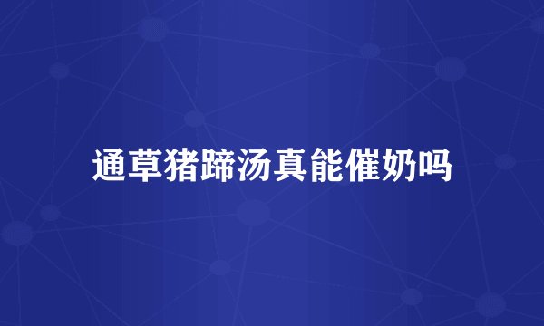 通草猪蹄汤真能催奶吗