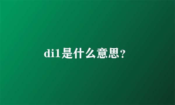 di1是什么意思？