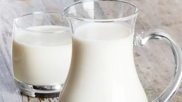 喝牛奶可以丰胸吗