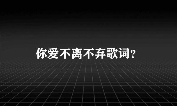 你爱不离不弃歌词？