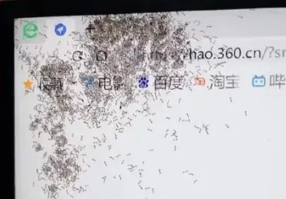 海口女子电脑误被洒奶茶蚂蚁屏内筑巢，是电脑的设计有问题吗？
